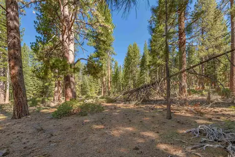 11590 Bottcher Loop, Truckee, CA 96161 photo 10