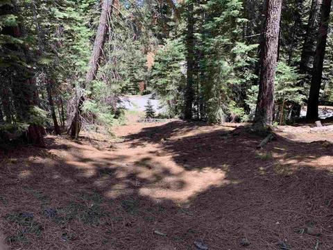 10792 Pine Cone Rd, Truckee, CA 96161 photo 4