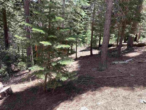 10792 Pine Cone Rd, Truckee, CA 96161 photo 8