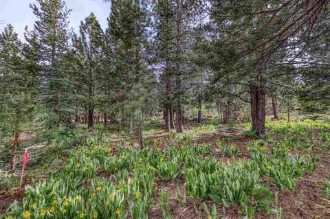 12349 Springbrook Pl, Truckee, CA 96161 photo 10