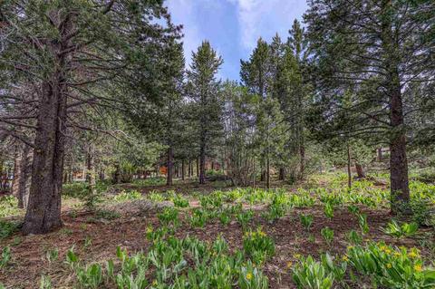 12349 Springbrook Pl, Truckee, CA 96161 photo 8