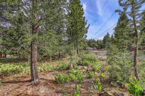 12349 Springbrook Pl, Truckee, CA 96161 photo 11