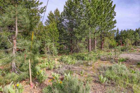 12349 Springbrook Pl, Truckee, CA 96161 photo 12