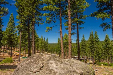 8124 Fallen Leaf Way, Truckee, CA 96161 photo 6