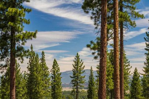 8124 Fallen Leaf Way, Truckee, CA 96161 photo 3