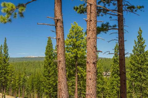 8124 Fallen Leaf Way, Truckee, CA 96161 photo 7