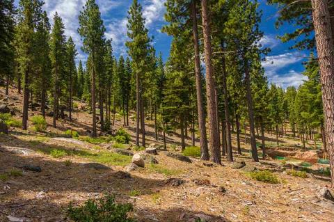 8124 Fallen Leaf Way, Truckee, CA 96161 photo 1