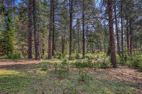 11841 Bottcher Loop, Truckee, CA 96161 photo 7