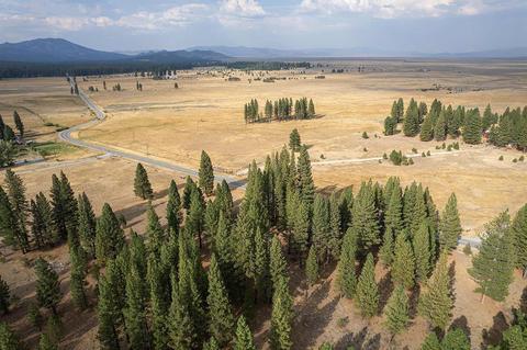 21631 Highway 89, Calpine, CA 96124 photo 19
