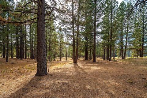 21631 Highway 89, Calpine, CA 96124 photo 18