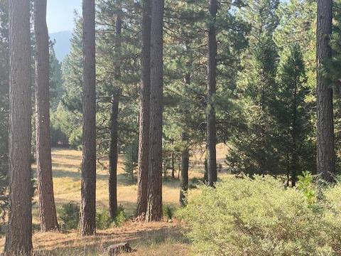 249 Boulder Dr, Clio, CA 96106 photo 3