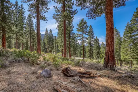 2790 Cross Cut Ct, Truckee, CA 96161