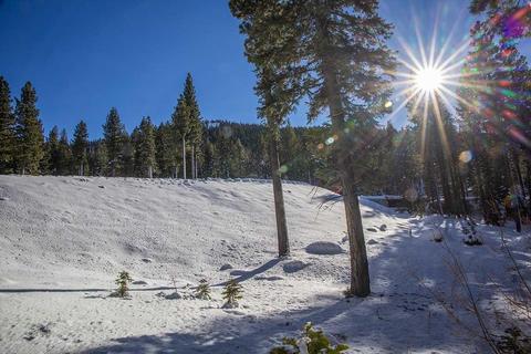 9501 Cloudcroft Ct, Truckee, CA 96161 photo 6
