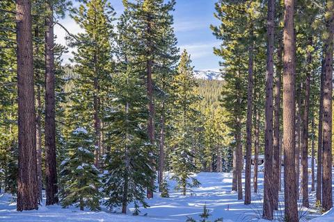 9501 Cloudcroft Ct, Truckee, CA 96161 photo 3