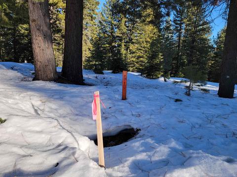 11853 Saddleback Dr, Truckee, CA 96161 photo 5