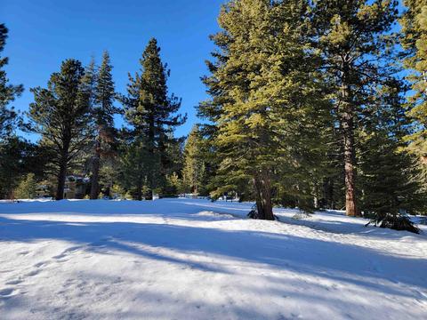 11853 Saddleback Dr, Truckee, CA 96161 photo 10