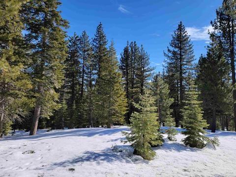 11853 Saddleback Dr, Truckee, CA 96161 photo 3