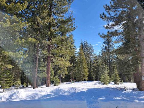 11853 Saddleback Dr, Truckee, CA 96161 photo 7