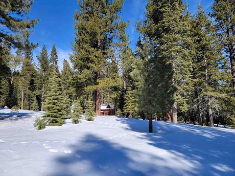 11853 Saddleback Dr, Truckee, CA 96161 photo 9