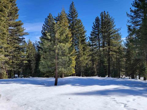11853 Saddleback Dr, Truckee, CA 96161 photo 2