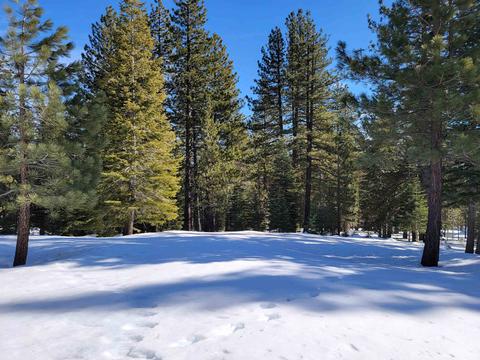 11853 Saddleback Dr, Truckee, CA 96161 photo 8