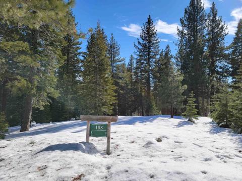 11853 Saddleback Dr, Truckee, CA 96161 photo 1
