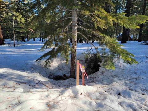 11853 Saddleback Dr, Truckee, CA 96161 photo 6