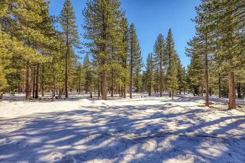 11651 Bottcher Loop, Truckee, CA 96161 photo 6