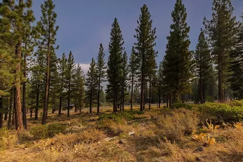 8297 Ehrman Dr, Truckee, CA 96161 photo 6