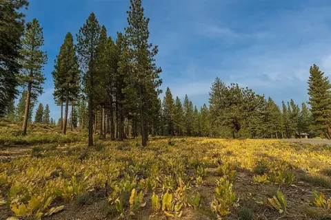 8297 Ehrman Dr, Truckee, CA 96161 photo 10