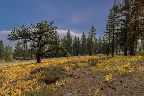 8297 Ehrman Dr, Truckee, CA 96161 photo 5