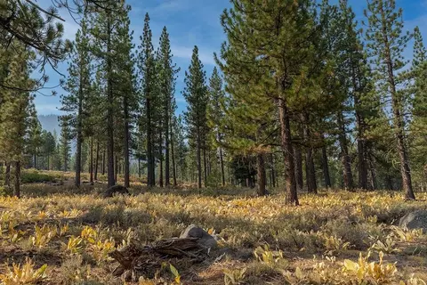 8297 Ehrman Dr, Truckee, CA 96161 photo 3
