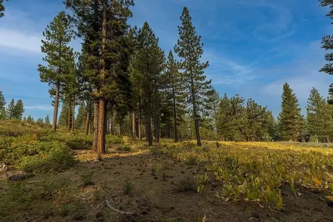 8297 Ehrman Dr, Truckee, CA 96161 photo 8