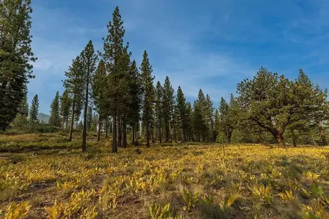 8297 Ehrman Dr, Truckee, CA 96161 photo 4