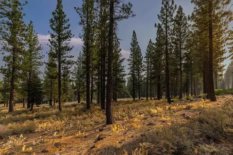 8297 Ehrman Dr, Truckee, CA 96161 photo 7