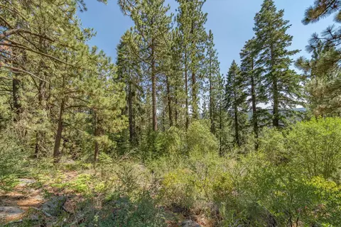 12561 Sierra Dr, Truckee, CA 96161 photo 4