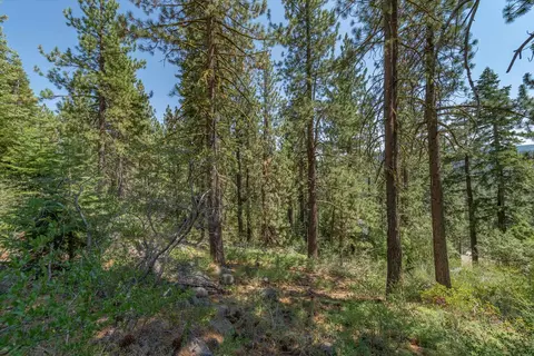 12561 Sierra Dr, Truckee, CA 96161 photo 7