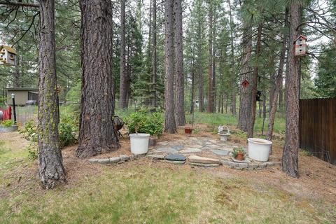 115 Mountain View Rd, Calpine, CA 96124 photo 16