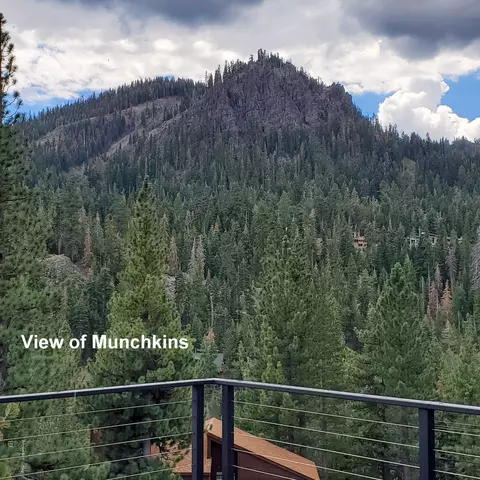 1423 Juniper Mountain Rd, Alpine Meadows, CA 96145 photo 7