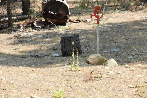9 Paiute Trl, Graeagle, CA 96103 photo 4