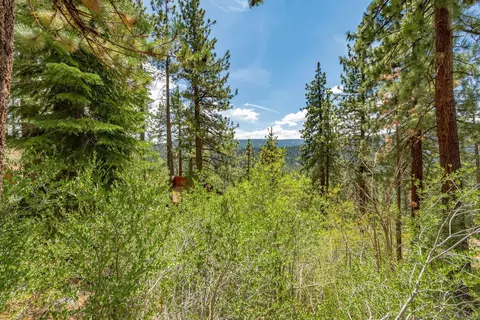 10198 Thomas Dr, Truckee, CA 96161 photo 18