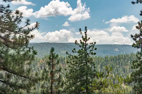 10198 Thomas Dr, Truckee, CA 96161 photo 5