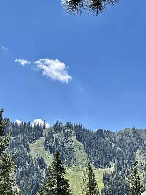 1880 Apache Ct, Olympic Valley, CA 96146 photo 8