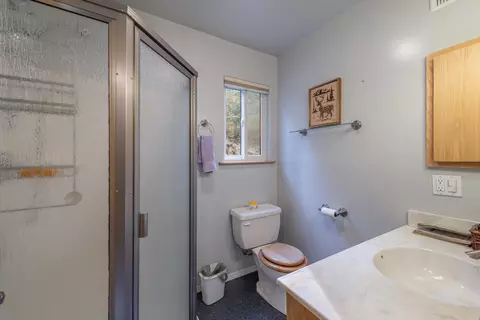 10341 Pine Way, Floriston, CA 96111 photo 19
