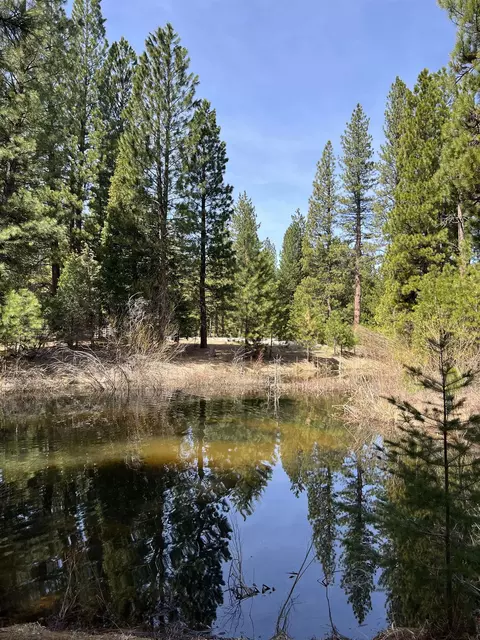151 Boulder Dr, Clio, CA 96106 photo 16