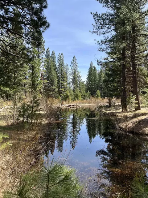 151 Boulder Dr, Clio, CA 96106 photo 17