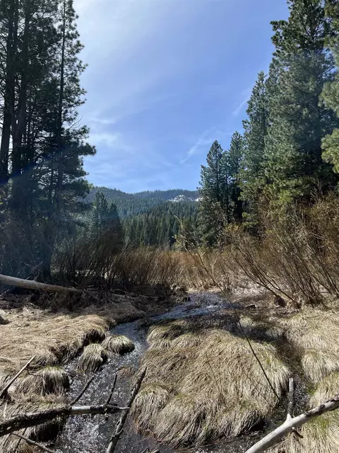 151 Boulder Dr, Clio, CA 96106 photo 8