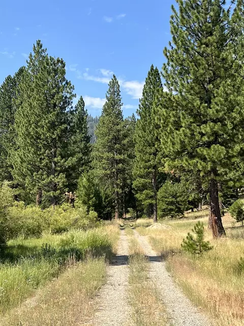 151 Boulder Dr, Clio, CA 96106 photo 2