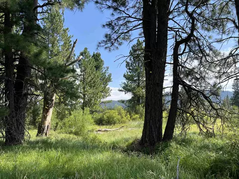 151 Boulder Dr, Clio, CA 96106 photo 3