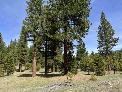 151 Boulder Dr, Clio, CA 96106 photo 14
